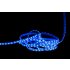 5 Meter UV Schwarzlicht LED Streifen 300 LEDs IP65 5050 Wasserdicht