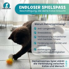 Katzenspielzeug 5 tlg.